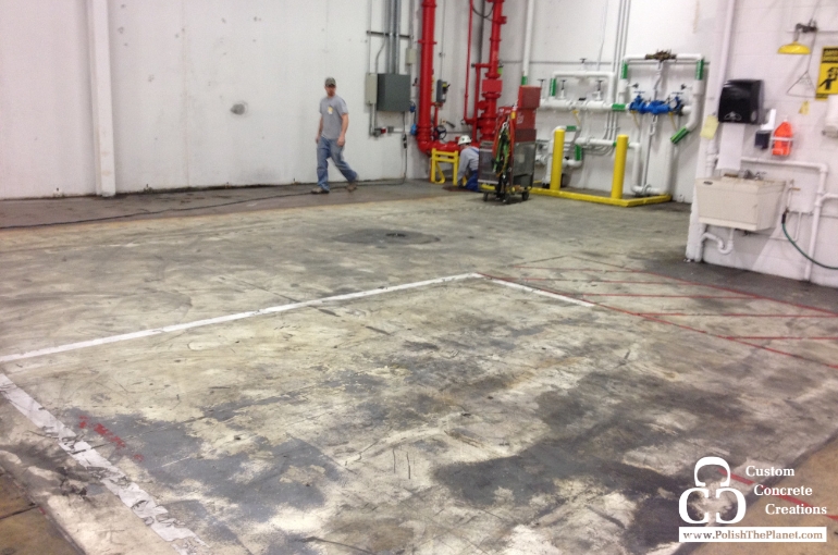 What’s Lurking Under Your Old Flooring? The Truth Might Surprise You