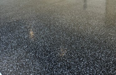 IMG_0020.jpeg